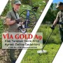 Via Gold A9 Dedektör